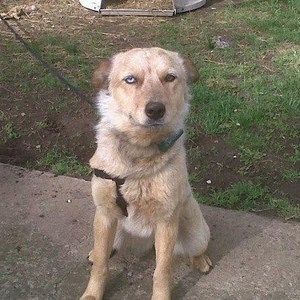 Meet your Posher, Skyler